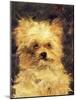 Head of a Dog - "Bob", 1876-Edouard Manet-Mounted Giclee Print