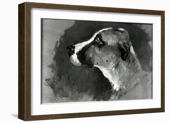 Head of a Dog with Short Ears, 1879-Henri de Toulouse-Lautrec-Framed Giclee Print