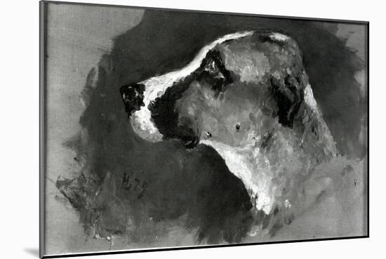 Head of a Dog with Short Ears, 1879-Henri de Toulouse-Lautrec-Mounted Giclee Print