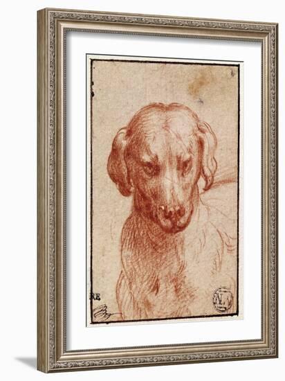 Head of a Dog-Parmigianino-Framed Giclee Print