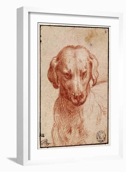 Head of a Dog-Parmigianino-Framed Giclee Print