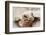 Head of a giant tortoise, Prison Island, Zanzibar, Tanzania-Roberto Moiola-Framed Photographic Print