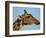 Head of a Giraffe (Giraffa Camelopardalis), South Africa, Africa-Steve & Ann Toon-Framed Photographic Print