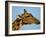 Head of a Giraffe (Giraffa Camelopardalis), South Africa, Africa-Steve & Ann Toon-Framed Photographic Print