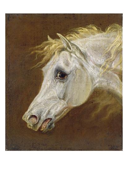 Head Of A Grey Arabian Horse Giclee Print Martin Theodore Ward