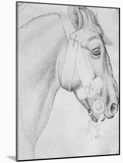 Head of a Horse-Antonio Pisani Pisanello-Mounted Giclee Print