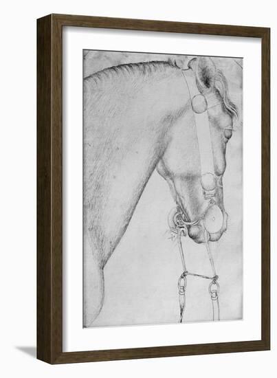 Head of a Horse-Antonio Pisani Pisanello-Framed Giclee Print