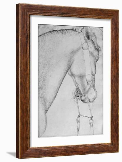 Head of a Horse-Antonio Pisani Pisanello-Framed Giclee Print