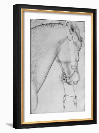 Head of a Horse-Antonio Pisani Pisanello-Framed Giclee Print