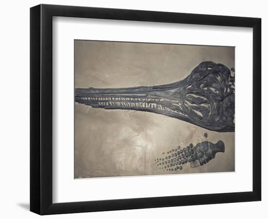 Head of a Jurassic Icthyosaur Fossil-Kevin Schafer-Framed Photographic Print