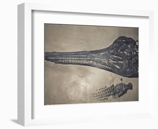 Head of a Jurassic Icthyosaur Fossil-Kevin Schafer-Framed Photographic Print