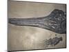 Head of a Jurassic Icthyosaur Fossil-Kevin Schafer-Mounted Photographic Print