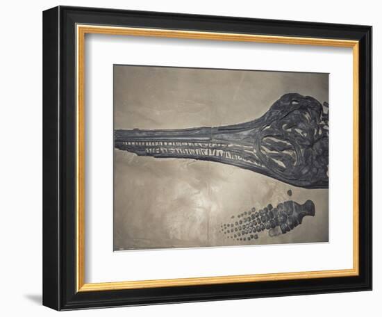 Head of a Jurassic Icthyosaur Fossil-Kevin Schafer-Framed Photographic Print