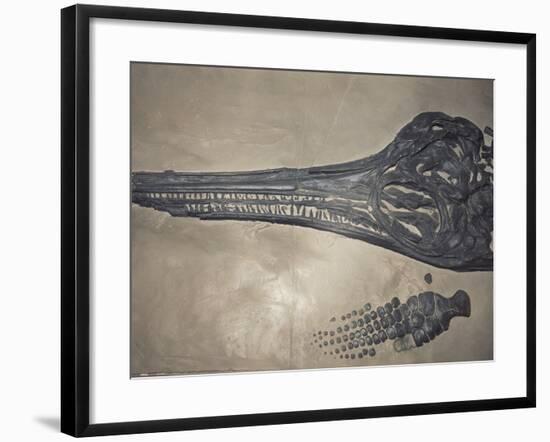 Head of a Jurassic Icthyosaur Fossil-Kevin Schafer-Framed Photographic Print