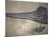 Head of a Jurassic Icthyosaur Fossil-Kevin Schafer-Mounted Photographic Print