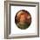 Head of a Lansquenet, C1545-1569-Pieter Bruegel the Elder-Framed Giclee Print