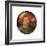 Head of a Lansquenet, C1545-1569-Pieter Bruegel the Elder-Framed Giclee Print