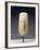 Head of a Large Female Cycladic Figure of the Early Spedos Variety-null-Framed Photographic Print