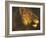 Head of a Lioness-Théodore Géricault-Framed Giclee Print