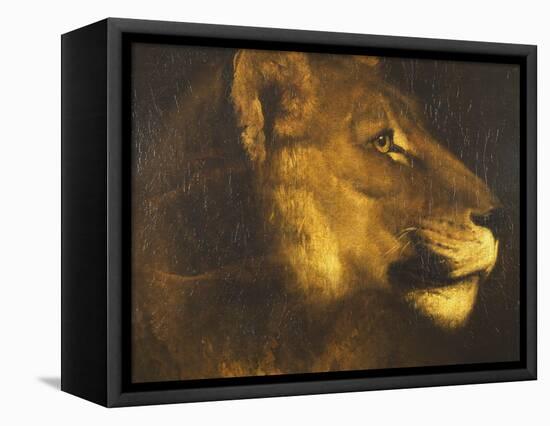 Head of a Lioness-Théodore Géricault-Framed Premier Image Canvas