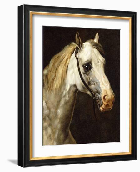 Head of a Piebald Horse-Théodore Géricault-Framed Giclee Print