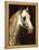 Head of a Piebald Horse-Théodore Géricault-Framed Premier Image Canvas