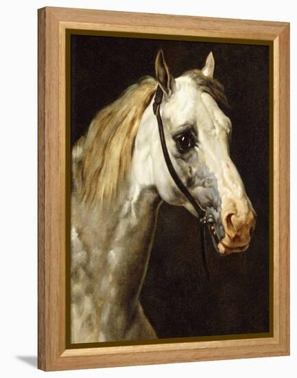 Head of a Piebald Horse-Théodore Géricault-Framed Premier Image Canvas