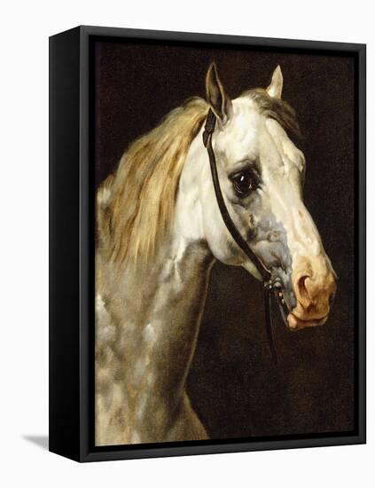 Head of a Piebald Horse-Théodore Géricault-Framed Premier Image Canvas