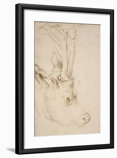 Head of a Roebuck, 1503-Albrecht Dürer-Framed Giclee Print