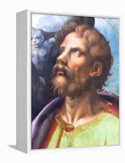 Head of a Saint-Giulio Romano-Framed Premier Image Canvas