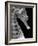 Head of a Seahorse-Henry Horenstein-Framed Photographic Print