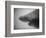 Head of a Shark-Henry Horenstein-Framed Photographic Print