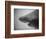 Head of a Shark-Henry Horenstein-Framed Photographic Print
