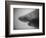 Head of a Shark-Henry Horenstein-Framed Photographic Print