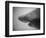 Head of a Shark-Henry Horenstein-Framed Photographic Print