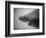 Head of a Shark-Henry Horenstein-Framed Photographic Print