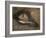 Head of a Sleeping Woman, 19th or Early 20th Century-Eugene Carriere-Framed Giclee Print