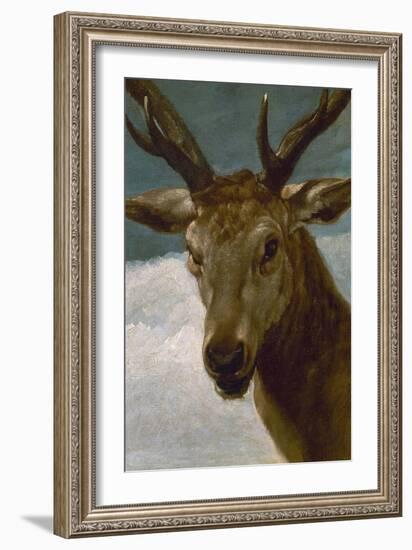 Head of a Stag, 1634, Spanish Baroque-Diego Velazquez-Framed Giclee Print