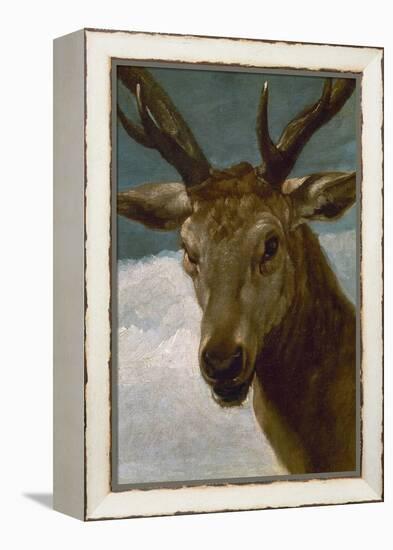 Head of a Stag, 1634, Spanish Baroque-Diego Velazquez-Framed Premier Image Canvas