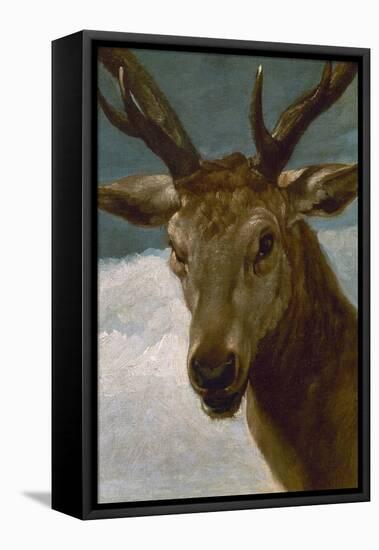 Head of a Stag, 1634, Spanish Baroque-Diego Velazquez-Framed Premier Image Canvas