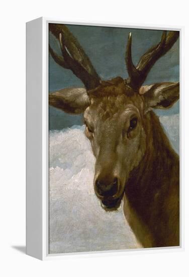 Head of a Stag, 1634, Spanish Baroque-Diego Velazquez-Framed Premier Image Canvas