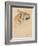 'Head of a Tiger', c1910-John MacAllan Swan-Framed Giclee Print