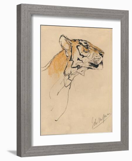 'Head of a Tiger', c1910-John MacAllan Swan-Framed Giclee Print