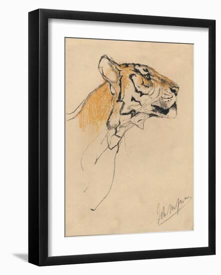 'Head of a Tiger', c1910-John MacAllan Swan-Framed Giclee Print