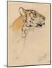 'Head of a Tiger', c1910-John MacAllan Swan-Mounted Giclee Print