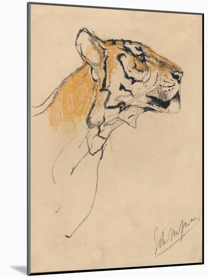 'Head of a Tiger', c1910-John MacAllan Swan-Mounted Giclee Print