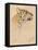 'Head of a Tiger', c1910-John MacAllan Swan-Framed Premier Image Canvas