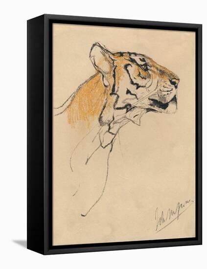 'Head of a Tiger', c1910-John MacAllan Swan-Framed Premier Image Canvas