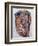 Head of a Woman, 1992-Stephen Finer-Framed Giclee Print