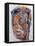 Head of a Woman, 1992-Stephen Finer-Framed Premier Image Canvas